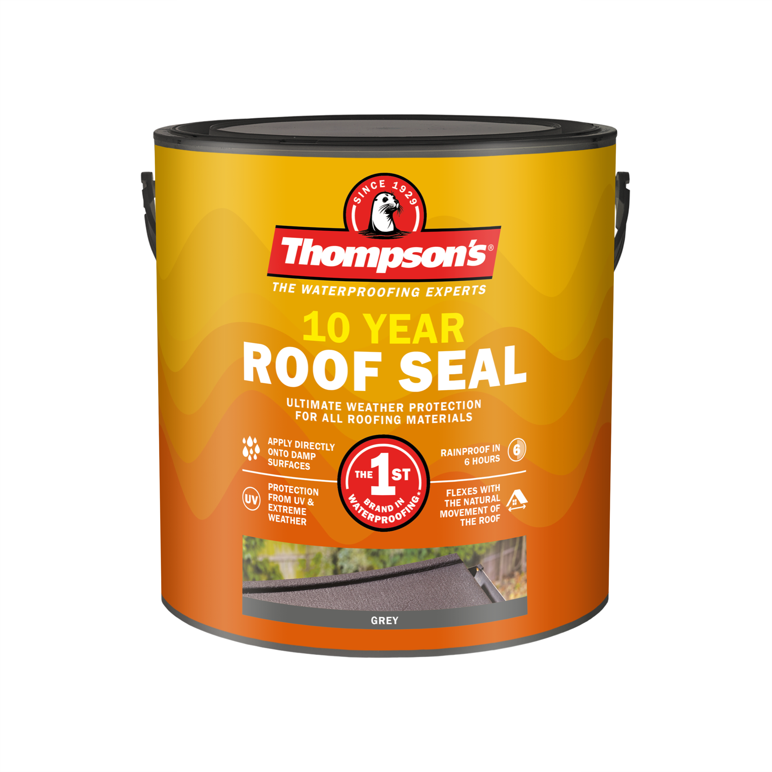 Thompsons_10_Year_Roof_Seal_Grey_2-5L.png
