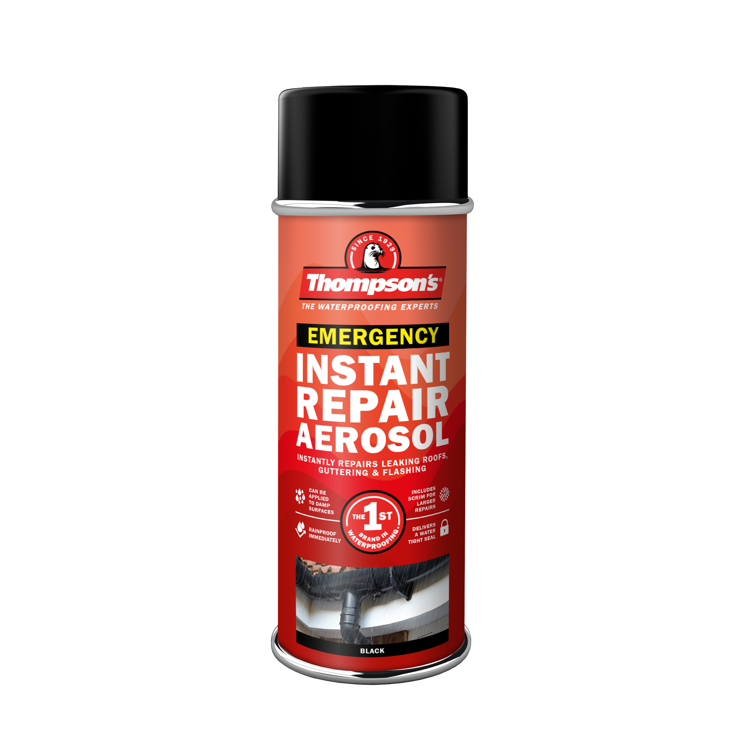 Thompson's Emergency Instant Repair Aerosol 450g.png