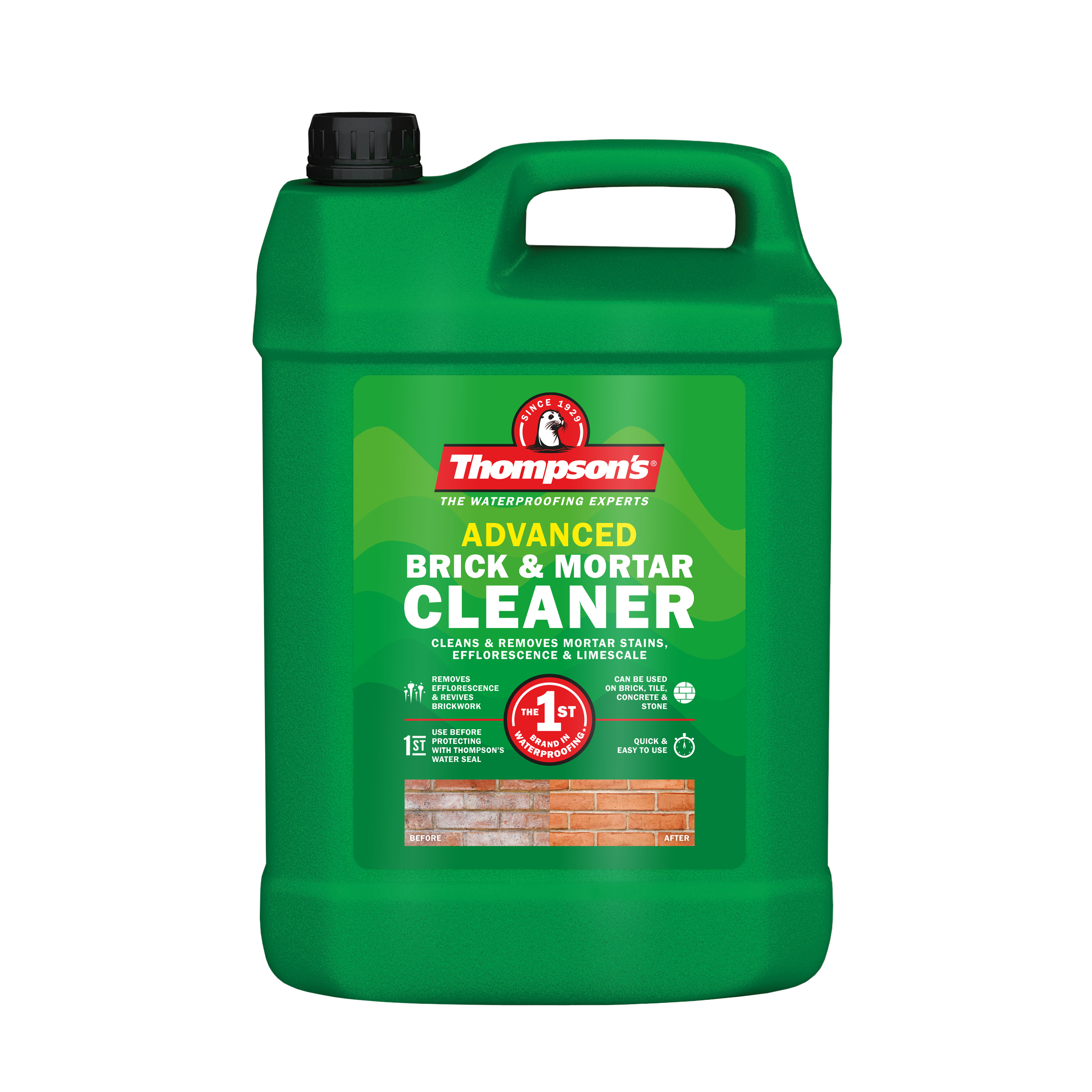 Thompsons_Adv_Brick_Mortar_Cleaner_5L.png
